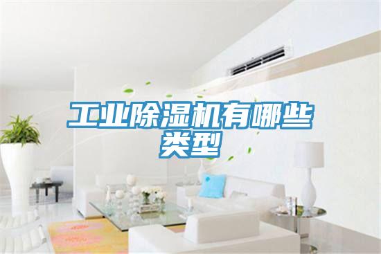 工業小黄片软件免费下载有哪些類型