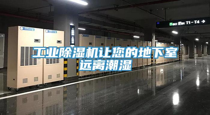 工業小黄片软件免费下载讓您的地下室遠離潮濕