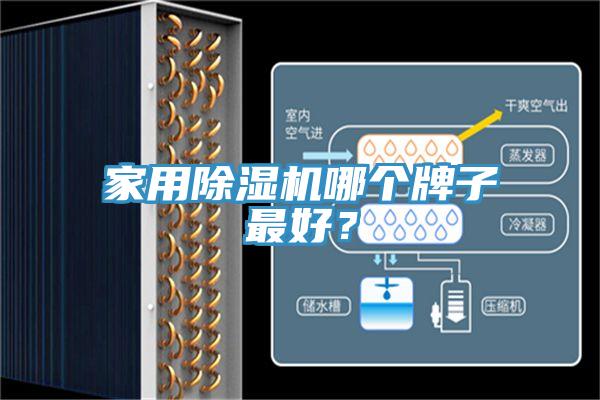 家用小黄片软件免费下载哪個牌子最好？
