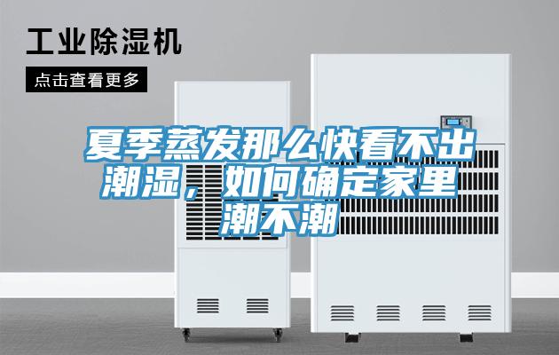 夏季蒸發那麽快看不出潮濕，如何確定家裏潮不潮