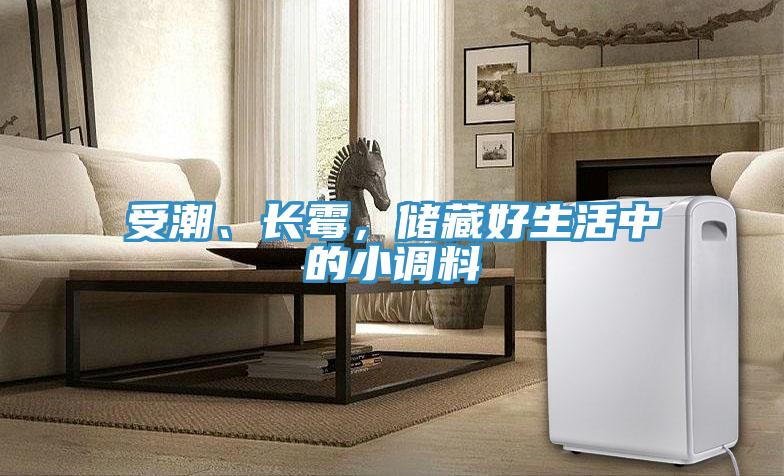 受潮、長黴，儲藏好生活中的小調料