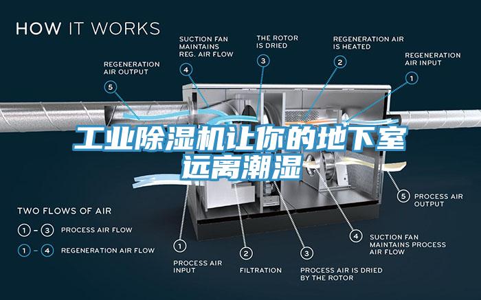 工業小黄片软件免费下载讓你的地下室遠離潮濕