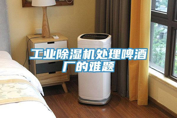 工業小黄片软件免费下载處理啤酒廠的難題