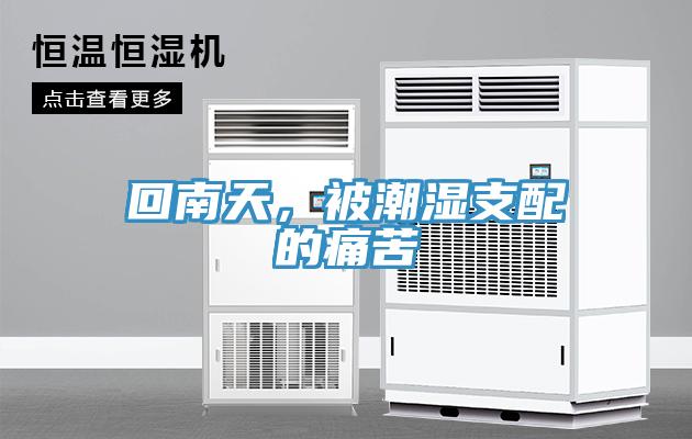 回南天，被潮濕支配的痛苦