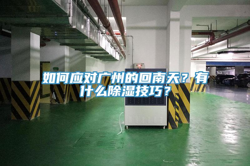 如何應對廣州的回南天？有什麽除濕技巧？