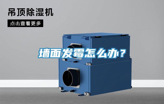 牆麵發黴怎麽辦？