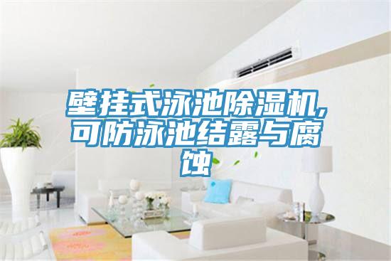 壁掛式泳池小黄片软件免费下载,可防泳池結露與腐蝕