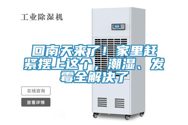 回南天來了！家裏趕緊擺上這個，潮濕、發黴全解決了