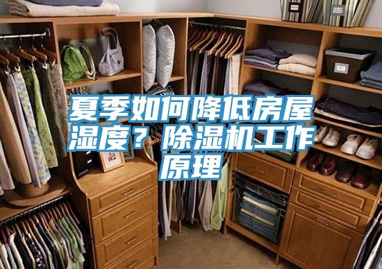 夏季如何降低房屋濕度？小黄片软件免费下载工作原理