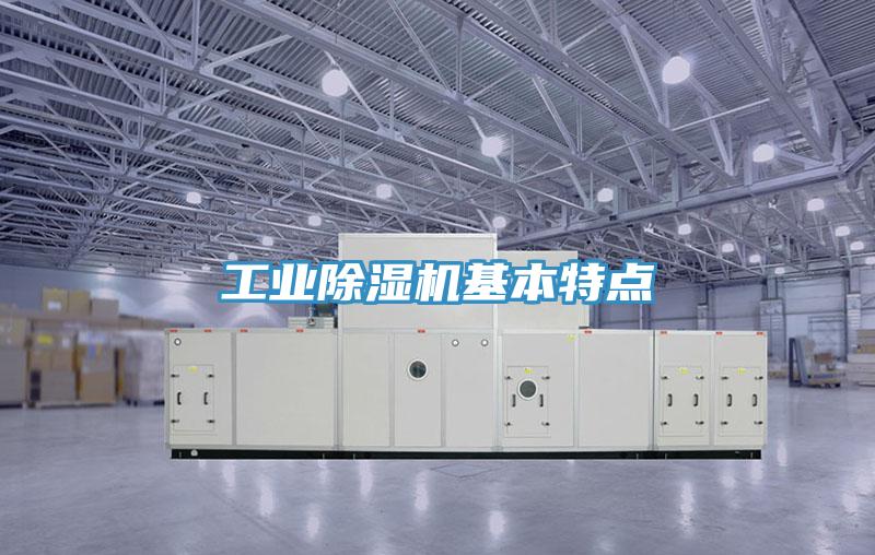 工業小黄片软件免费下载基本特點