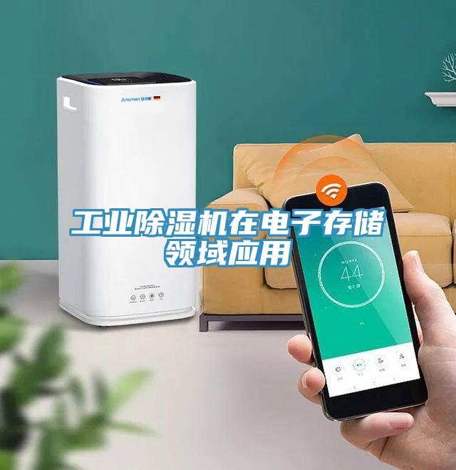 工業小黄片软件免费下载在電子存儲領域應用