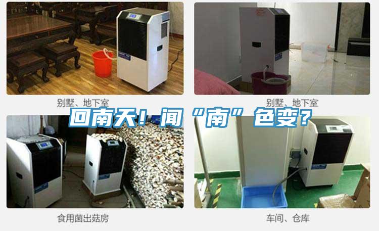 回南天！聞“南”色變？