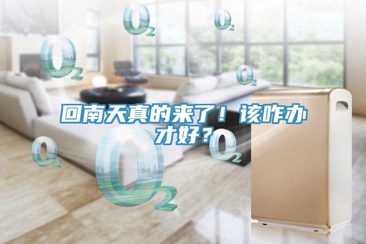 回南天真的來了！該咋辦才好？