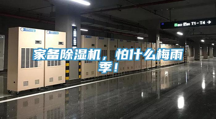 家備小黄片软件免费下载，怕什麽梅雨季！