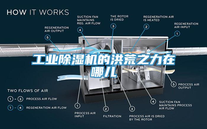 工業小黄片软件免费下载的洪荒之力在哪兒