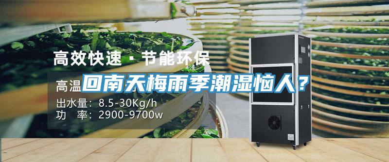 回南天梅雨季潮濕惱人？