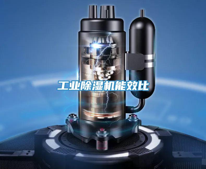 工業小黄片软件免费下载能效比