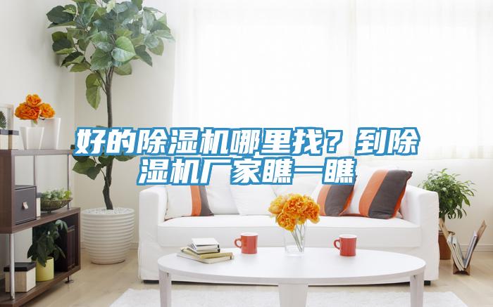 好的小黄片软件免费下载哪裏找？到小黄片软件免费下载廠家瞧一瞧