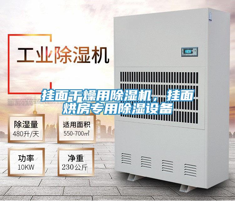 掛麵幹燥用小黄片软件免费下载，掛麵烘房專用除濕設備