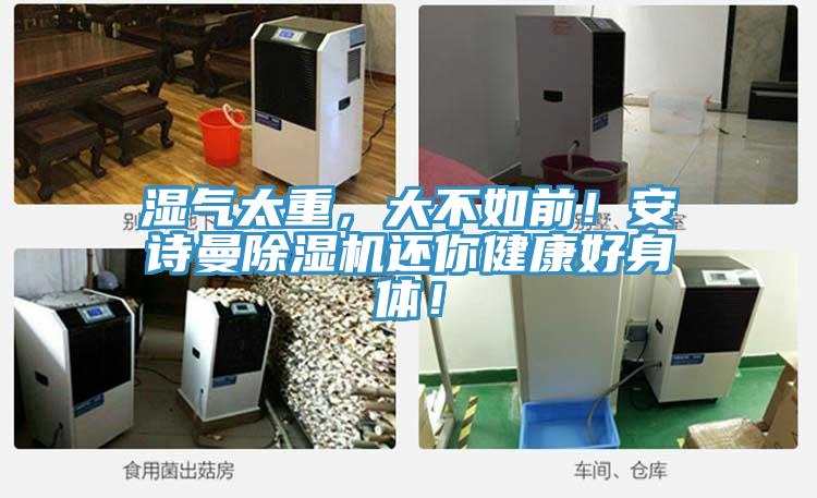 濕氣太重，大不如前！小黄片怎么下载小黄片软件免费下载還你健康好身體！