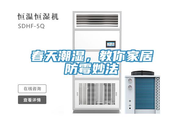 春天潮濕，教你家居防黴妙法
