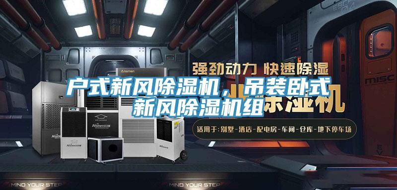 戶式新風小黄片软件免费下载，吊裝臥式新風小黄片软件免费下载組