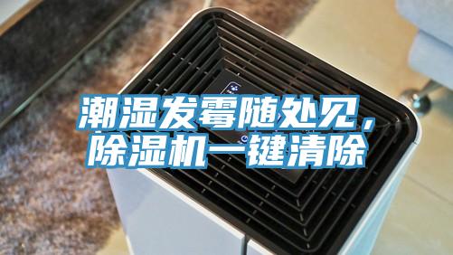 潮濕發黴隨處見，小黄片软件免费下载一鍵清除