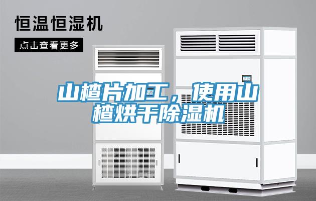山楂片加工，使用山楂烘幹小黄片软件免费下载