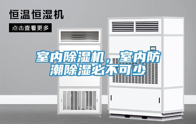 室內小黄片软件免费下载，室內防潮除濕必不可少