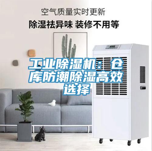 工業小黄片软件免费下载：倉庫防潮除濕高效選擇