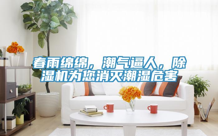 春雨綿綿，潮氣逼人，小黄片软件免费下载為您消滅潮濕危害