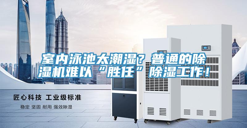 室內泳池太潮濕？普通的小黄片软件免费下载難以“勝任”除濕工作！