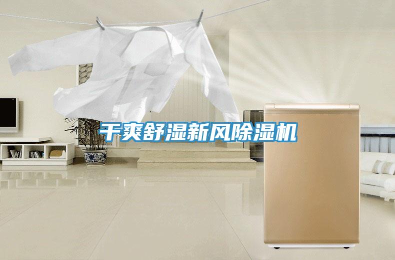 幹爽舒濕新風小黄片软件免费下载