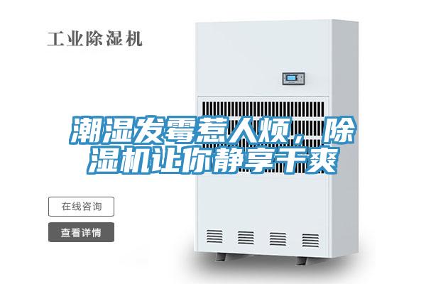 潮濕發黴惹人煩，小黄片软件免费下载讓你靜享幹爽