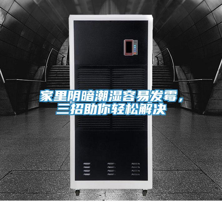 家裏陰暗潮濕容易發黴，三招助你輕鬆解決