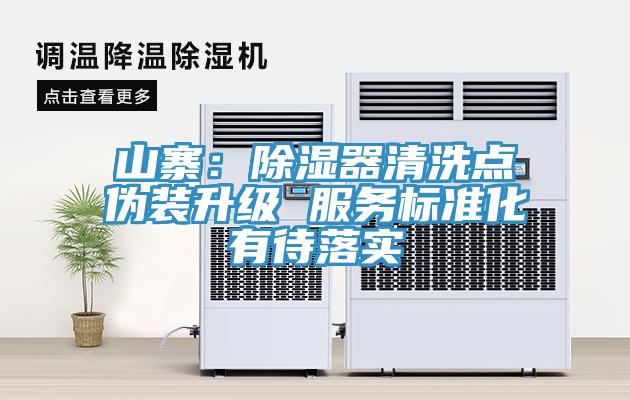 山寨：除濕器清洗點偽裝升級 服務標準化有待落實