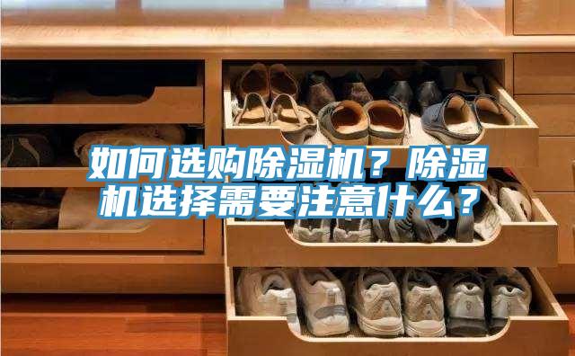 如何選購小黄片软件免费下载？小黄片软件免费下载選擇需要注意什麽？