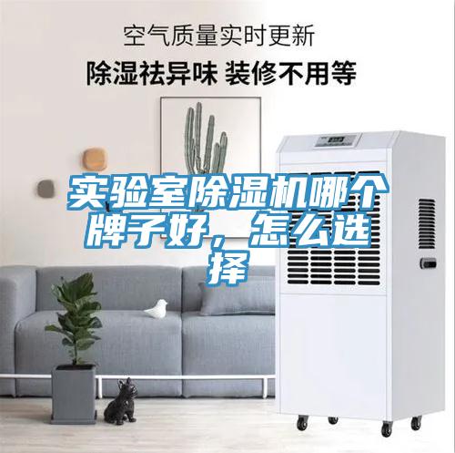 實驗室小黄片软件免费下载哪個牌子好，怎麽選擇
