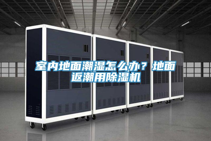 室內地麵潮濕怎麽辦？地麵返潮用小黄片软件免费下载