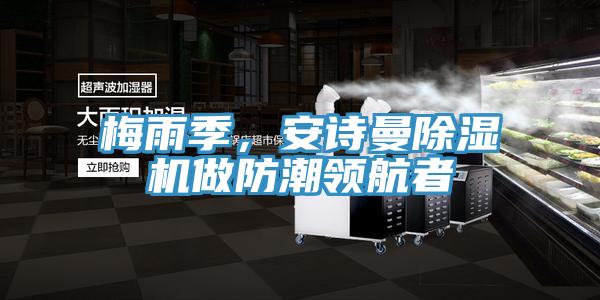 梅雨季，小黄片怎么下载小黄片软件免费下载做防潮領航者
