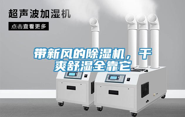 帶新風的小黄片软件免费下载，幹爽舒濕全靠它