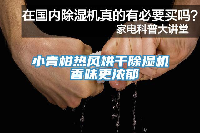 小青柑熱風烘幹小黄片软件免费下载 香味更濃鬱