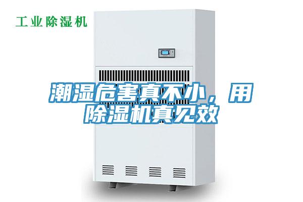 潮濕危害真不小，用小黄片软件免费下载真見效