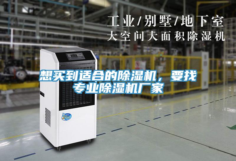 想買到適合的小黄片软件免费下载，要找專業小黄片软件免费下载廠家