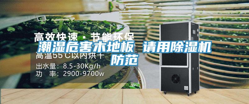 潮濕危害木地板 請用小黄片软件免费下载防範