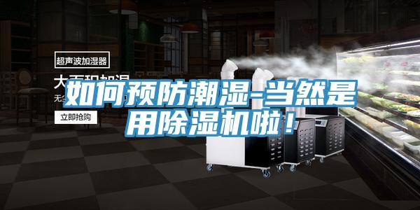 如何預防潮濕-當然是用小黄片软件免费下载啦！