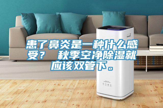 患了鼻炎是一種什麽感受？ 秋季空淨除濕就應該雙管下。