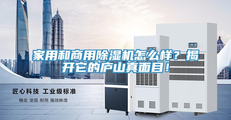 家用和商用小黄片软件免费下载怎麽樣？揭開它的廬山真麵目！