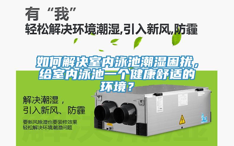 如何解決室內泳池潮濕困擾，給室內泳池一個健康舒適的環境？
