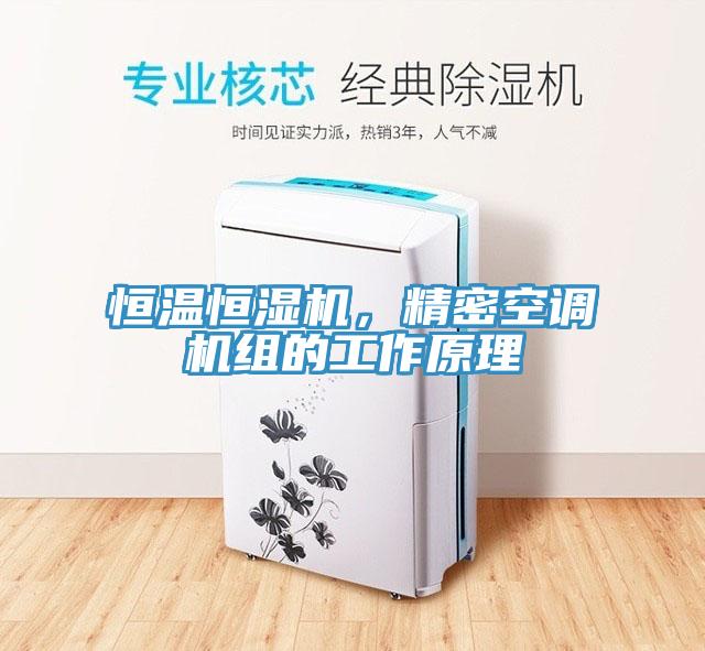 恒溫恒濕機，精密空調機組的工作原理